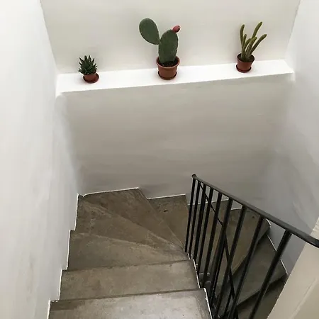 Hidden Gem In Céret