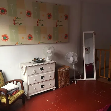 Hidden Gem In Céret